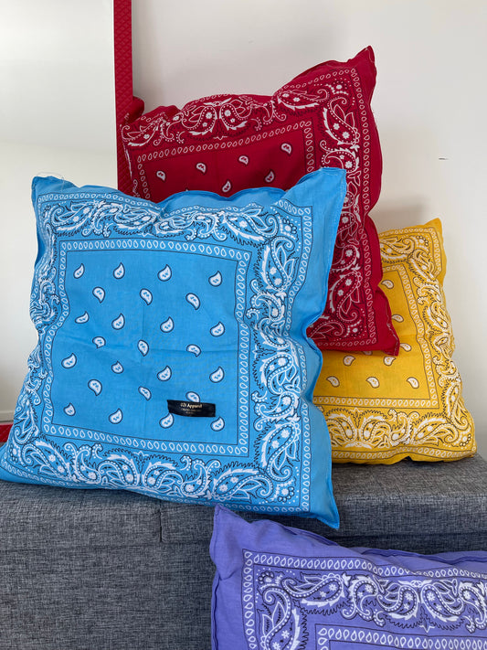 031 Paisley Pillows